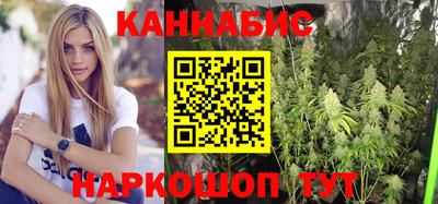 сатива Коммунар