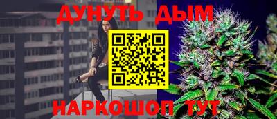 сатива Коммунар