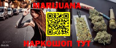 сатива Коммунар