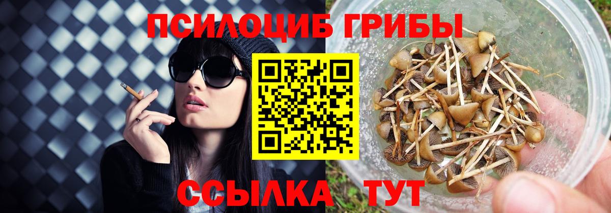Кировск  Галлюциногенные грибы MAGIC MUSHROOMS  Вход с VPN 