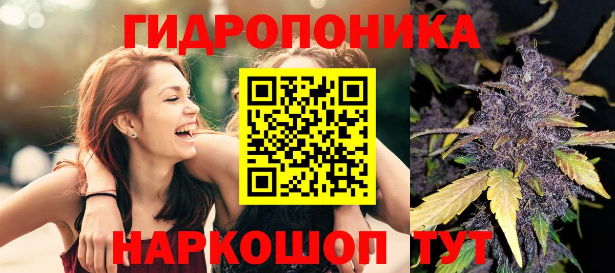 Бошки марихуана сатива  МАРИХУАНА ГИДРОПОН  Марихуана Amnesia  Вход с VPN  Кировск 
